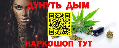 крисы Моздок