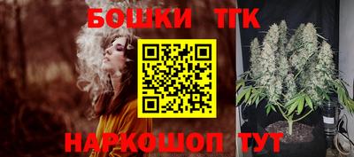 крисы Моздок