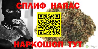 apvp Можга