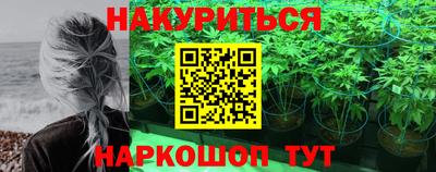 apvp Можга