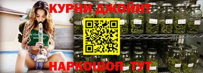 крисы Моздок