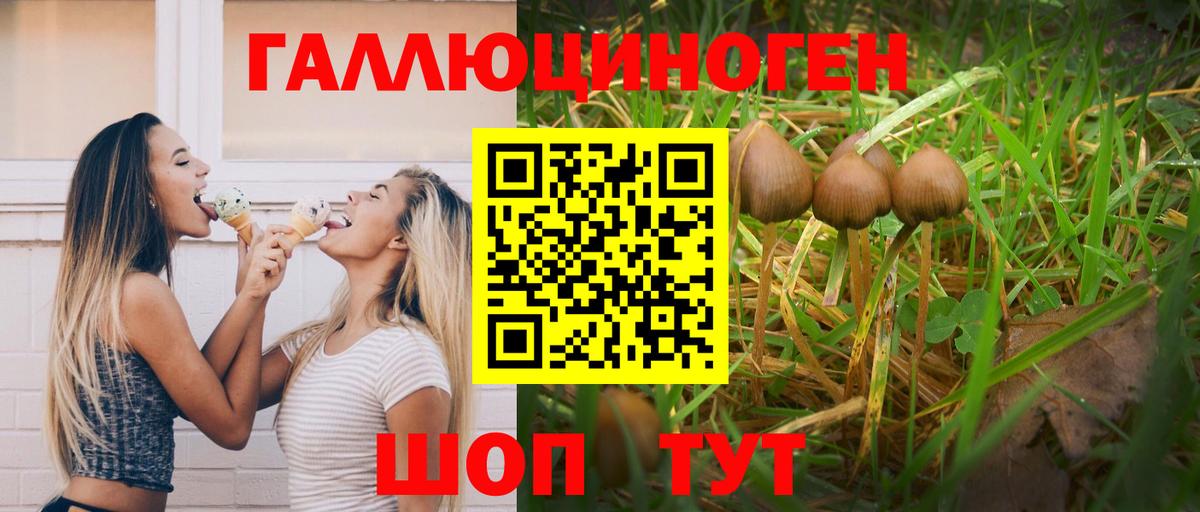 Галлюциногенные грибы Psilocybe Великий Устюг