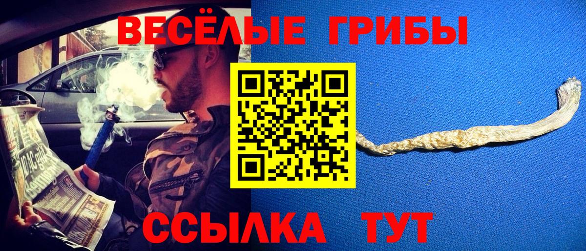 Великий Устюг  Псилоцибиновые грибы MAGIC MUSHROOMS  Псилоцибиновые грибы ЛСД  Вход с VPN 